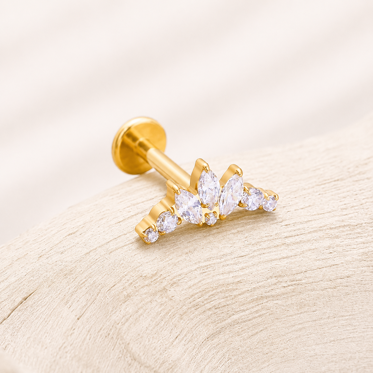Titanium Crown CZ Flat Back Stud Earrings