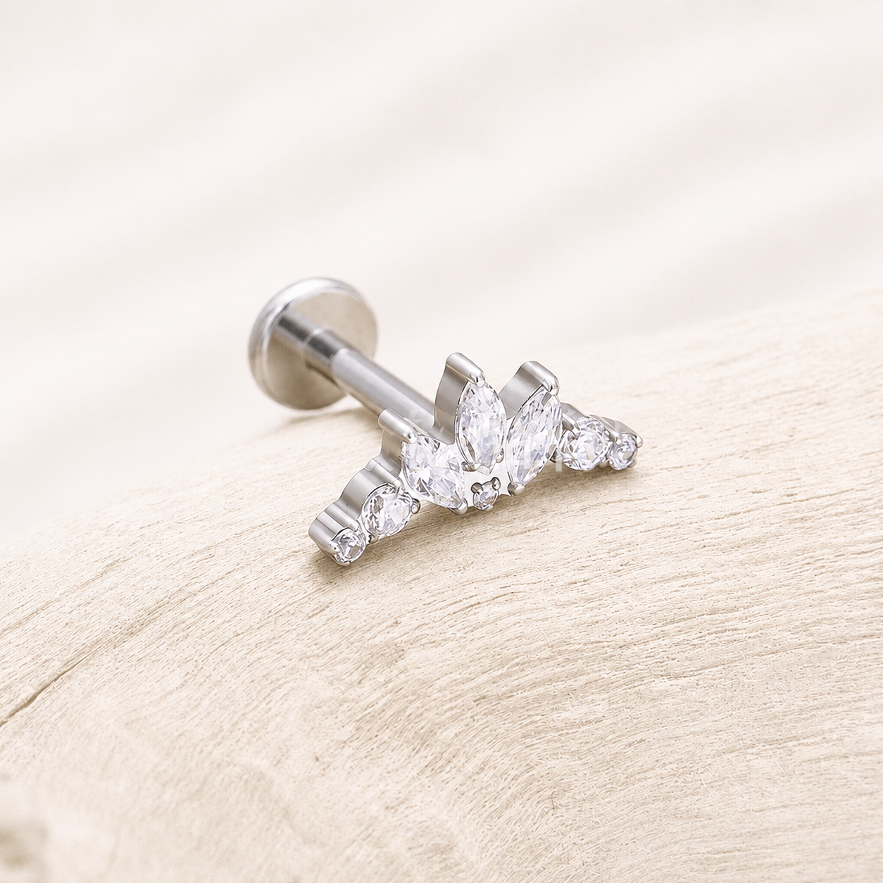 Titanium Crown CZ Flat Back Stud Earrings